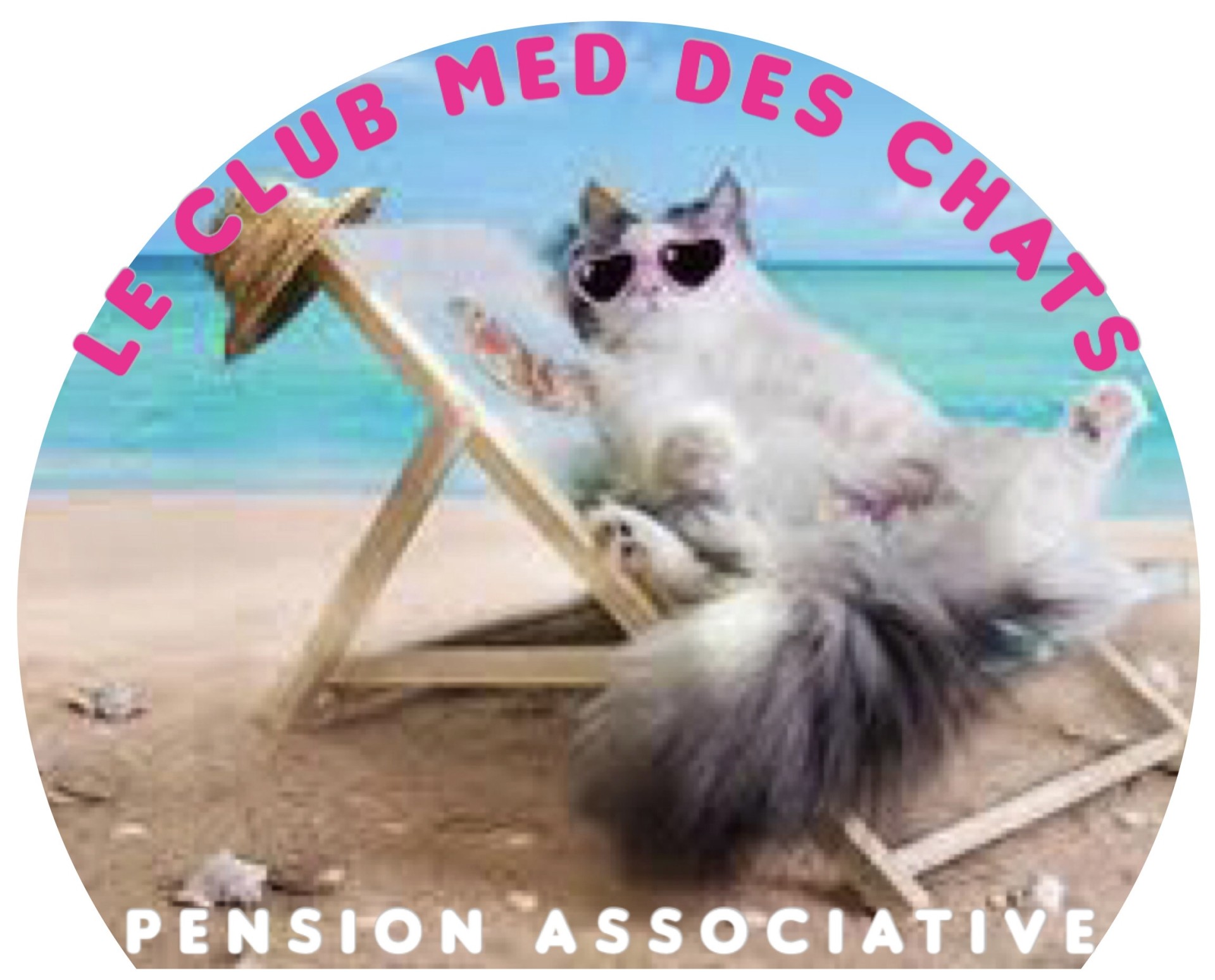 Association *Le Club Med Des Chats* Pension associative